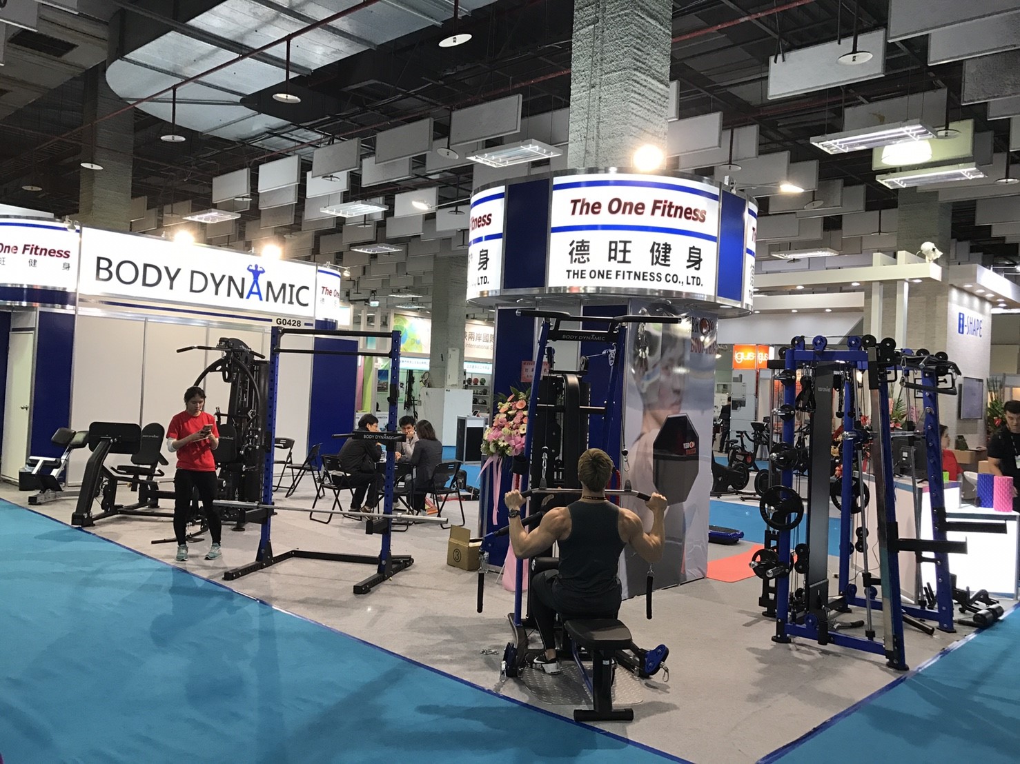 2017 Taispo show