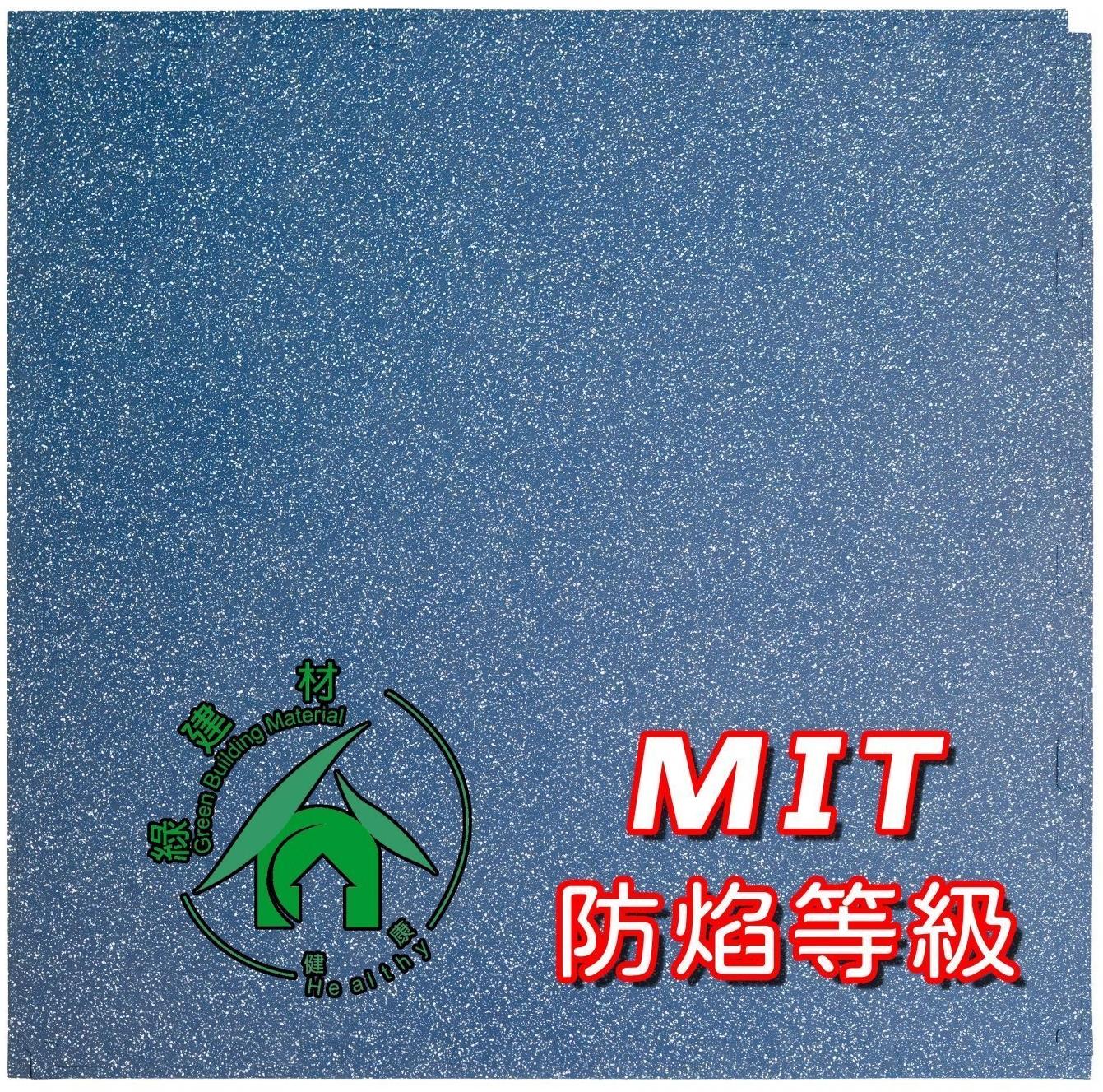 8mm 耐磨運動地墊-海軍藍 (附邊條)